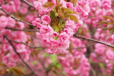 宁波镇海区1线下个人借款平台一站式服务，轻松解决资金难题