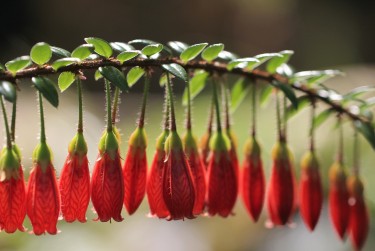 宁波镇海区1零用贷短借：轻松解决临时资金需求