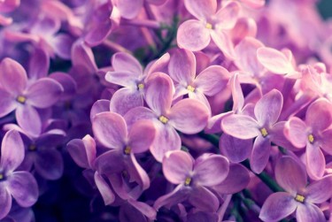 宁波镇海区1企业急用钱贷款攻略：快速融资解燃眉之急